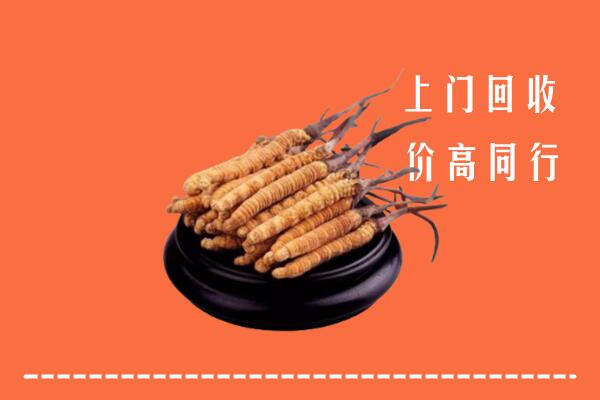 高价求购：哈密市回收散虫草