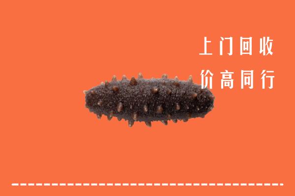 高价求购：哈密市回收海参