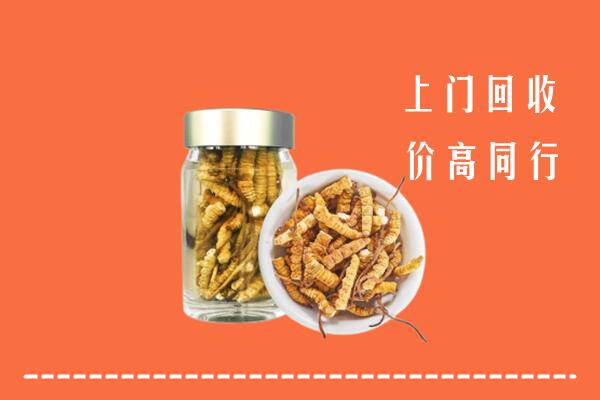 哈密市回收冬虫夏草